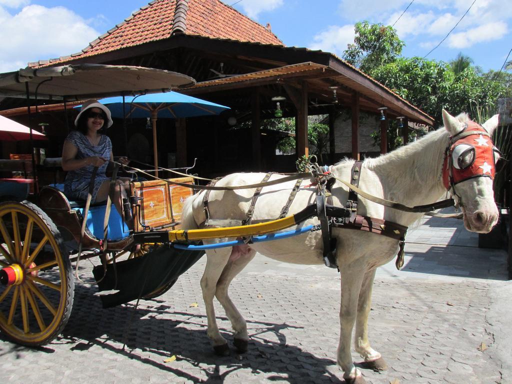 Cempaka Villa Magelang Exteriér fotografie
